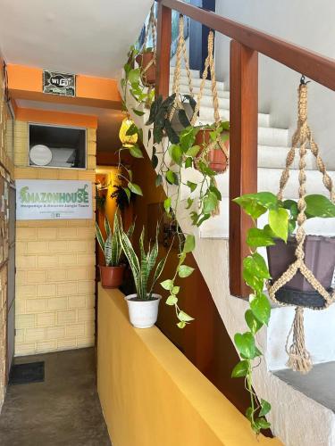 Amazon House Hostel in Iquitos