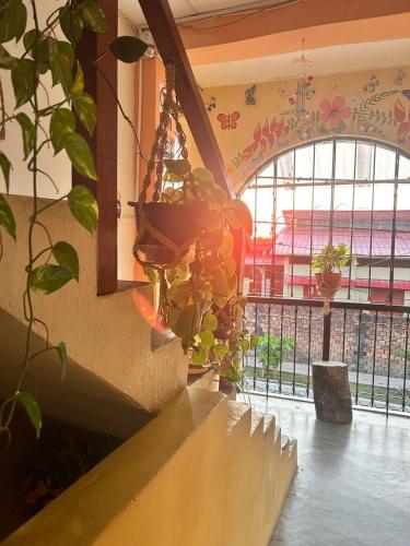 Amazon House Hostel in Iquitos