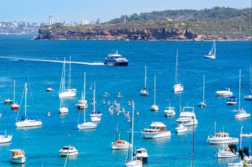 KozyGuru | Manly | Prime Manly Coastal Hub - image 4
