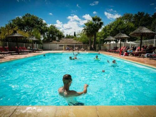 Chalet accueillant animaux - 6 pers. - API-1-52-2734 in Villarzel-Cabardes