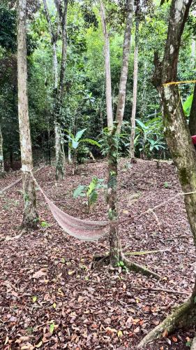 Cabinas El Mango in Hone Creek
