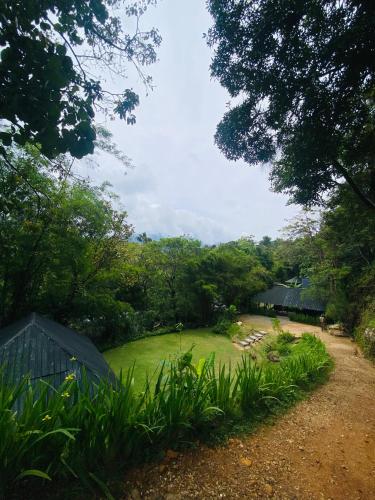 Dārzs, Black Hut Eco Resort Belihuloya in Rathnapura