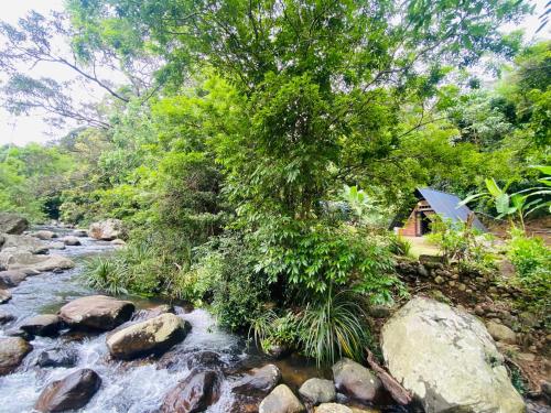 Tuvākā izklaides vieta, Black Hut Eco Resort Belihuloya in Rathnapura