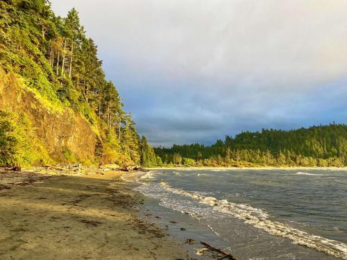 Surf Eyrie - image 13