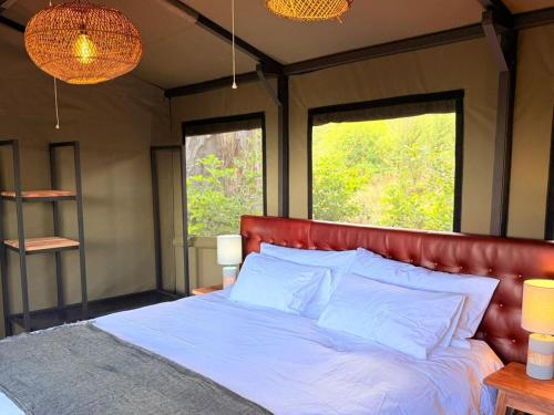 Buffalo Tented Camps in Divundu