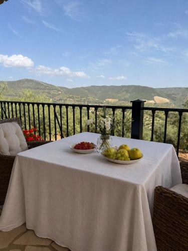 Cortijo Sol y Olivo spacious exclusive private pool retreat in Algarinejo