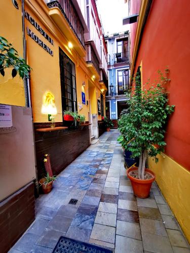 Feel Hostel City Center in Málaga