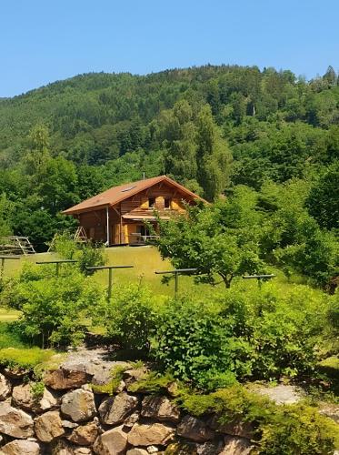 . Chalet des Charbonniers, étang