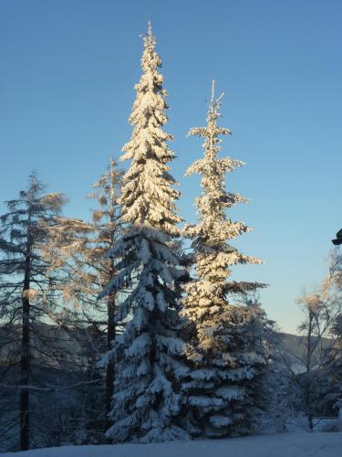 Der Löffler am Semmering - main image