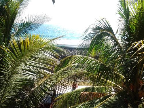 Villa Tortugas in Monterrico