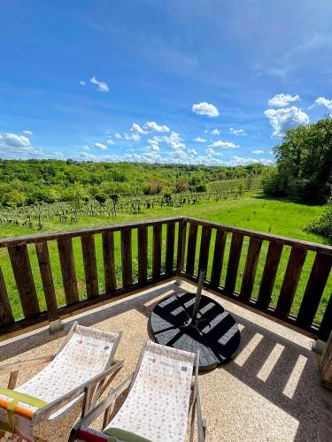 Luxury Self-Catering Homes with Salt Water Pool on Organic Vineyard in France in Saussignac