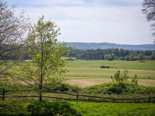 Cowdray Lodge B&B rooms in Easebourne