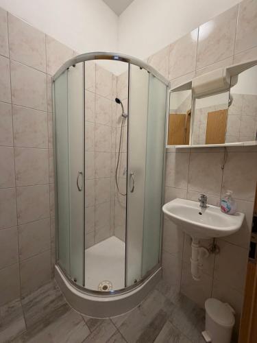 Apartments Domani in Vir
