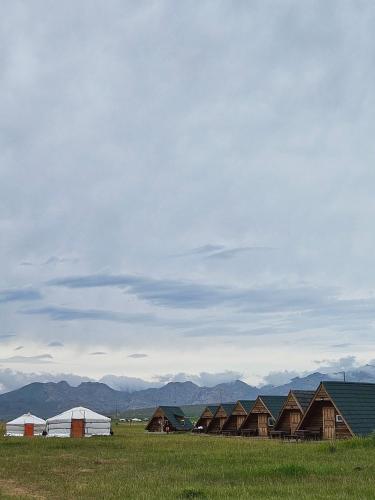Mongol Altai Tour Camp in Gurvanbulag