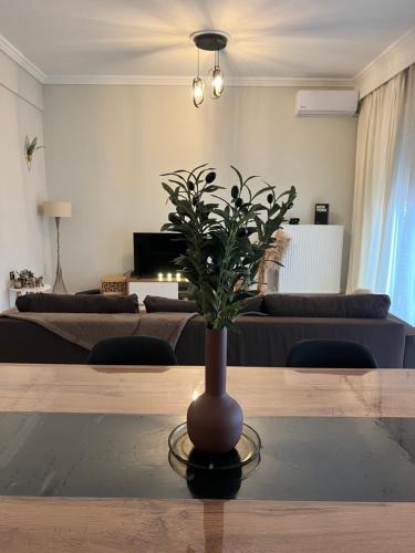 Flat30 - Cosy apartment in Park of Kipseli- Xanthi, Xánthi