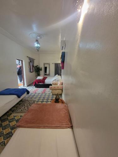 bel kayed - image 7