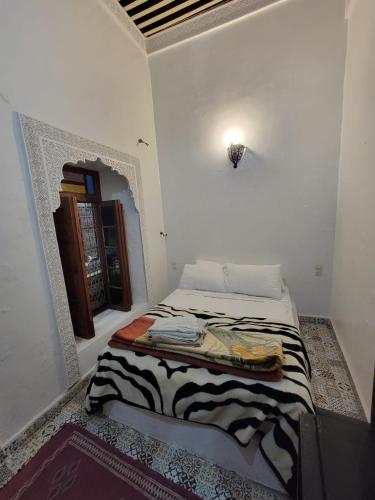 bel kayed - image 2