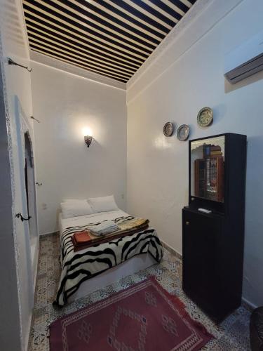 bel kayed - image 5