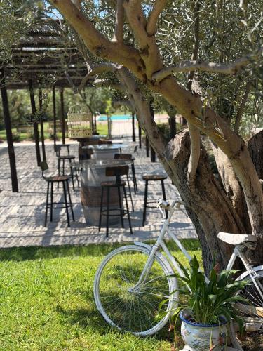 B&B Terre di Paestum 2