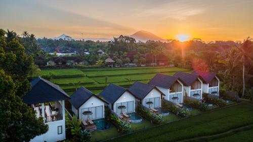 Ascarya Ubud, Ubud