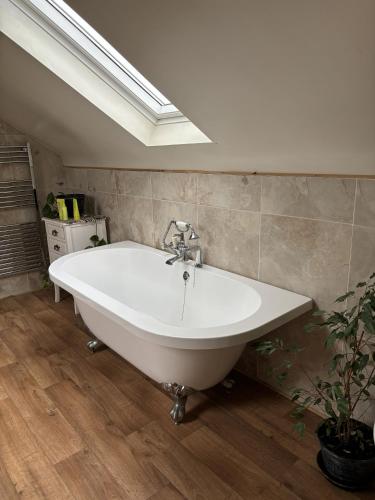 Vannas istaba, The Hideaway Muff in Inishowen