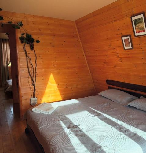 A-Frame Baiterek Resort in Karagandy