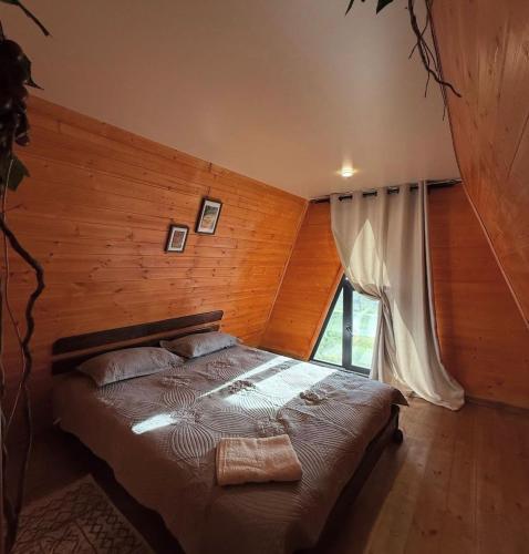 A-Frame Baiterek Resort in Karagandy