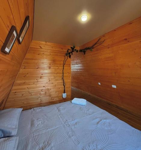A-Frame Baiterek Resort in Karagandy