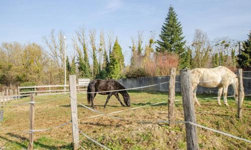 La cabriole des lacs in Bar-sur-Seine
