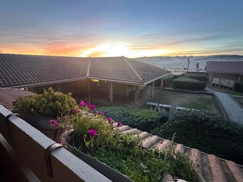 Appartement Vue Sur La Dune - Location saisonnière - Seignosse