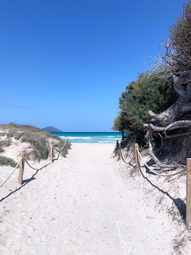 Einzigartiges Ferienhaus in Playa de Muro gîte à louer Îles Baléares