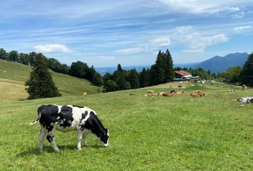 Apartment Linde in Marquartstein