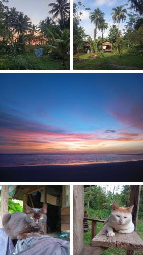 Charming Cabin Retreat in Buenaventura with Garden BBQ