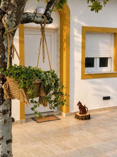 Ieeja, Casa de Mel - Guest house in Aldeia do Mato