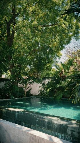 Escentrike Hostal in Mérida, Mexiko