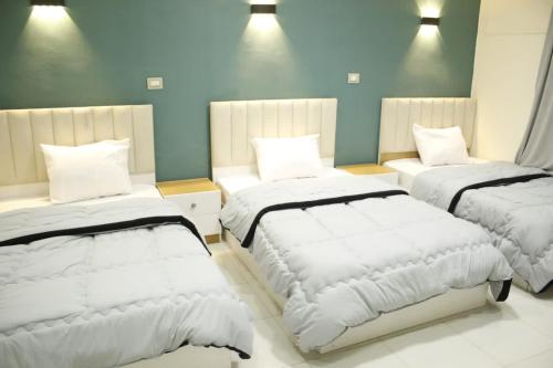 Metropolitano Boutique Hotel Downtown Cairo - image 13