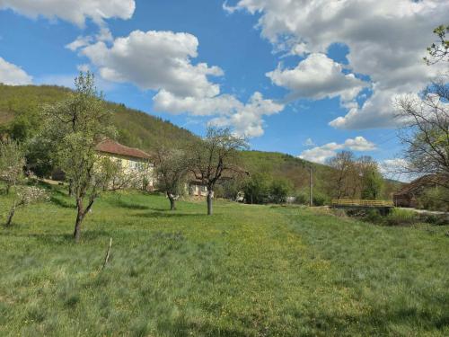 Apartmani Deda Zarkova Vodenica in Cuštica