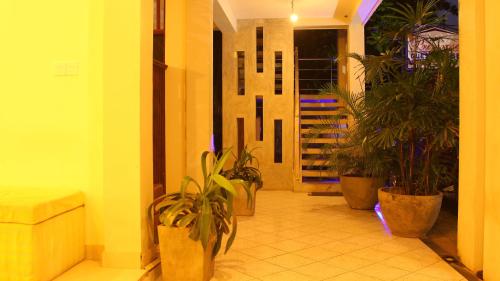 Primrose Guest House