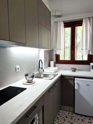 Apartments Papadioti in Pefki (Artemisio)