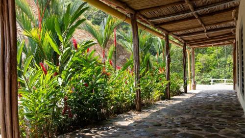 Villa Berakah casa campestre in La Palmera