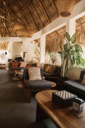Caracola Boutique Hostel in El Paredon Buena Vista