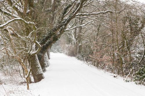 Hoeve Springendal - image 6