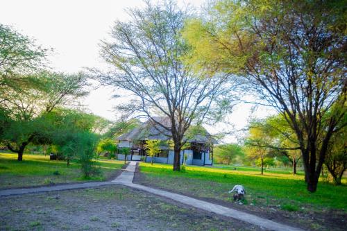 Tembo Tarangire Lodge & Camp in Tarangira