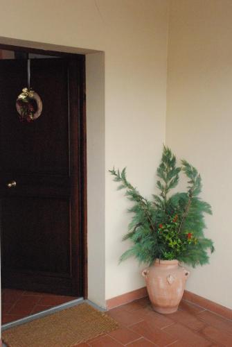  Gli Oleandri di Belfiore in Lastra a Signa