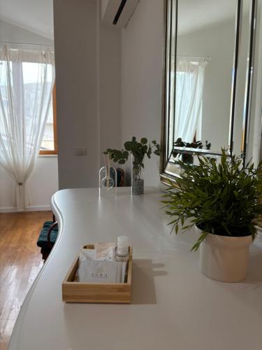 MIALLEGRA Guest House in Вітулаціо