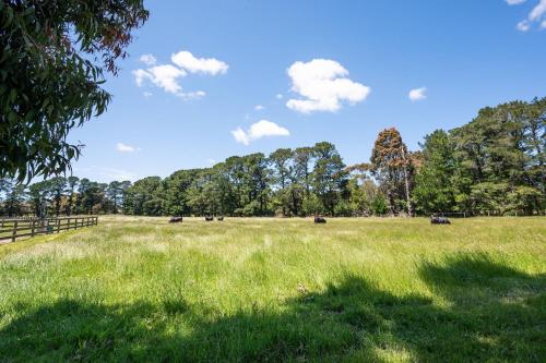 Chalet Trois at Woodman Estate in Moorooduc