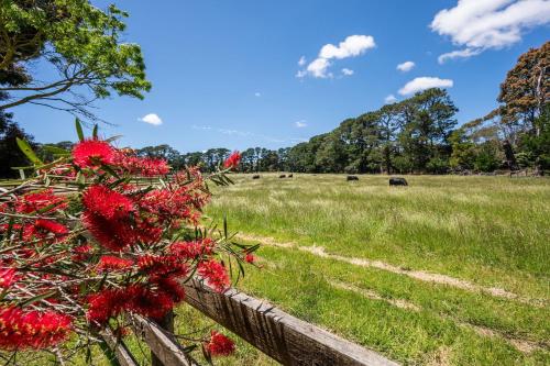 Chalet Trois at Woodman Estate in Moorooduc
