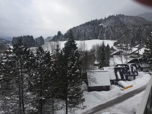 Appartement Sonnenalm in Bad Mitterndorf