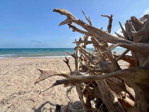Maison 6 personnes, clim, proche plages