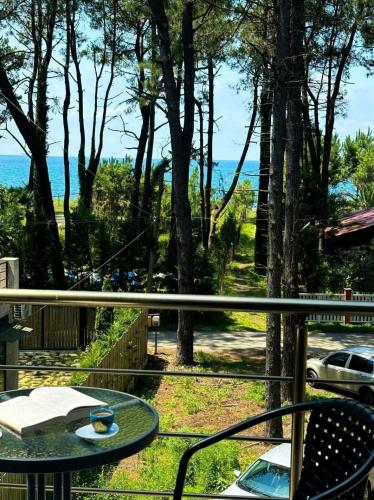Aussicht, Villa Story Hotel in Shekvetili
